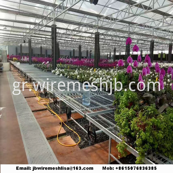 Galvanized Welded Wire Mesh Greenhouse Rolling Benches